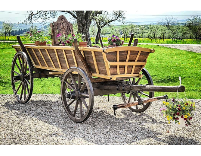Fuhrwerk Leiterwagen Heuwagen WILHELM... Fuhrwerk Leiterwagen Heuwagen WILHELM...