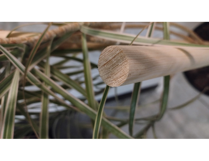 10 x Pflanzstab Rundstab Ø 20mm... 10 x Pflanzstab Rundstab Ø 20mm...